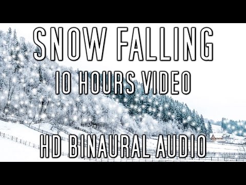 Relaxing Snow Falling Sounds from the Countryside - 10 Hours Video For Relaxation and Sleep