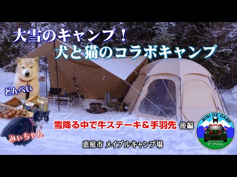 北海道雪中キャンプ！TOMOUNTドームテントで犬と猫のコラボキャンプ【後編】大雪から最低気温-12.6℃の降雪キャンプ！幕内の最高温度は34℃の真夏！