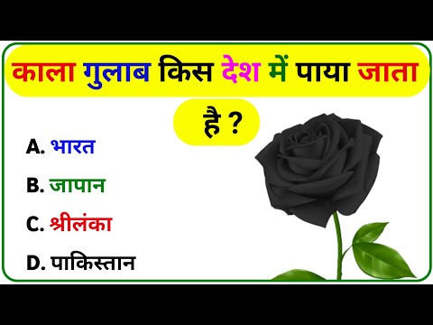 GK Question || GK In Hindi || GK Question and Answer || GK Quiz || Mystical Studies