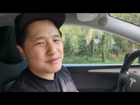 Tesla Full Self Drive impressions