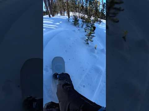 Snowboarding is fun