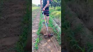 Small Powerful Electric Weeding Tool Multifunction #satisfying #short