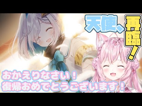 天使の帰還！かなたとこよりのてぇてぇタイム！【天音かなた/博衣こより/かなこよ/かなりあ/切り抜き/ホロライブ】