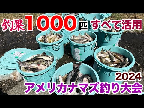 釣果1000匹全て活用！アメリカナマズ釣り大会2024