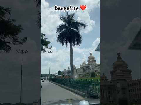 Bangalore dairies ❤️#janvika #janvivlog#janvivlogs#bangalore #shorts#shortsfeed#viralvideo #ytshorts