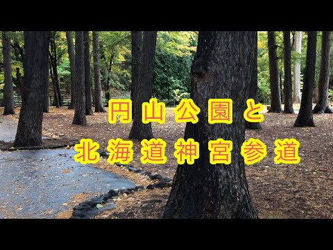 紅葉が美しい🍂円山公園と北海道神宮参道