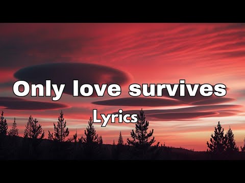 only love survives (lyrics) beautiful English love 💕 song 2025💘💋🎵🎧