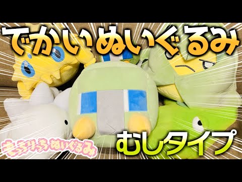 どデカいサイズのポケモンぬいぐるみで癒される～！デンヂムシ,バチュル,クルマユ,ユキハミ,トランセルの個体値をジャッジ‼【もっちりっりぬいぐるみ/もちふわクッション/ポケモン】