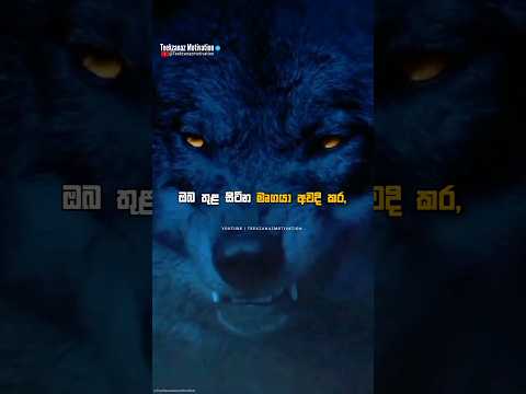 මේවාට මෙහෙම කරන්න 🔥😈 | motivation sinhala | life tips | #motivation #shorts #sinhala