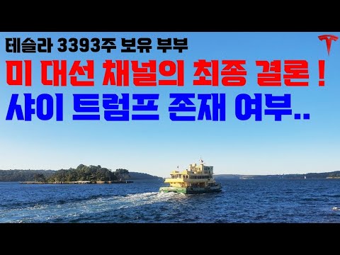 오늘 진짜 특별한 날인데 혹시 아시나요? 그 날이 꼭 올 겁니다! 저만의 관점으로 본 샤이 트럼프...