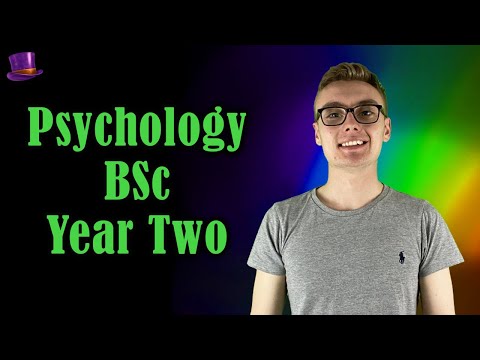 Psychology BSc Year Two: A Personal Review