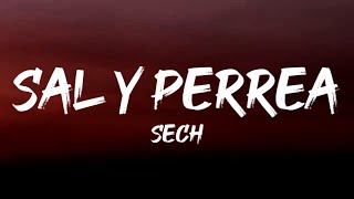 Sech - Sal Y Perrea (Letra/Lyrics)