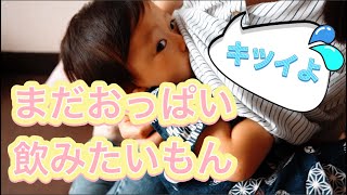 おっぱいを飲みたい赤ちゃんと、卒乳させたいママ【breastfeeding】