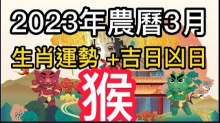 【古柏論命每月運勢 + 吉日凶日】2023年農曆三月(陽曆4/20 ~ 5/18)生肖運勢分享 -  猴