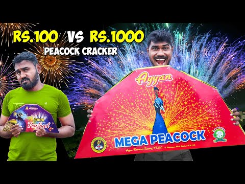 ₹100 vs ₹1000 Peacock Cracker Testing | Which Is Best? Got Shocking Result