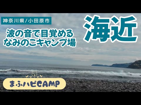 【神奈川県/小田原市】なみのこ村で海キャンプ！生姜焼きパスタ/骨付鶏もも肉のカレー/サザエの壺焼き/龍門飯店さんの焼肉定食1050円と焼餃子650円　#まふハピキャンプ  #まふハピキャンプ飯