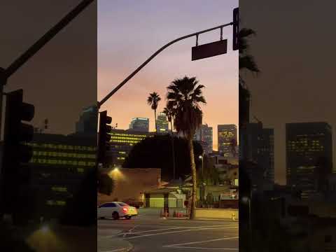 Los Angeles, California #losangeles #ytshortsvideo #california