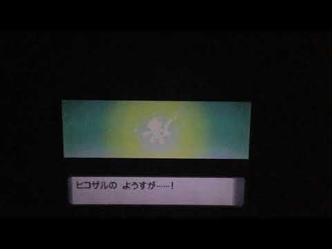 【ポケモンDP】ヒコザル 進化