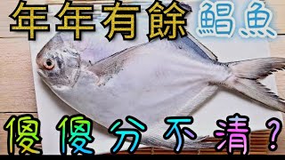 馬上過年了期待「年年有餘」好彩頭，台灣人年菜必備白鯧魚。市場鯧魚價差10倍，最貴4000，最便宜400，怎麼選才不會被當盤子?