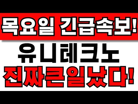 [유니테크노 주가전망] 주주님들 필수시청! 앞으로 이렇게 대응하세요