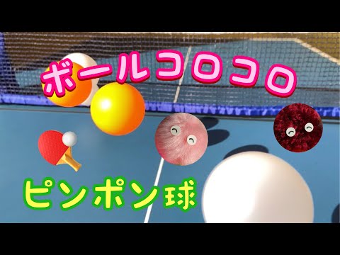 【ボールコロコロ】ピンポン球【Rolling Balls】Ping-pong balls