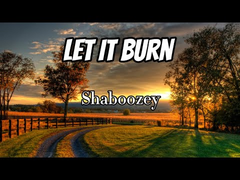 Shaboozey - Let It Burn (Lyrics)