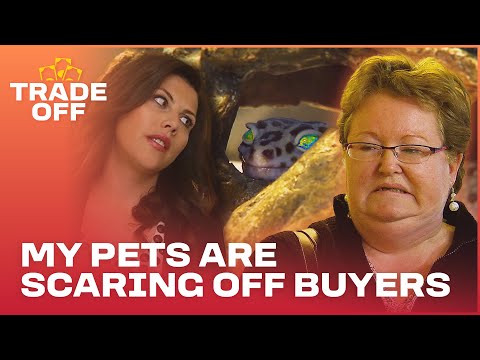 My Pets Are Scaring Off Buyers! | The Unsellables