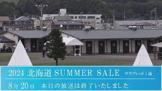 2024 北海道サマーセール2日目　生中継