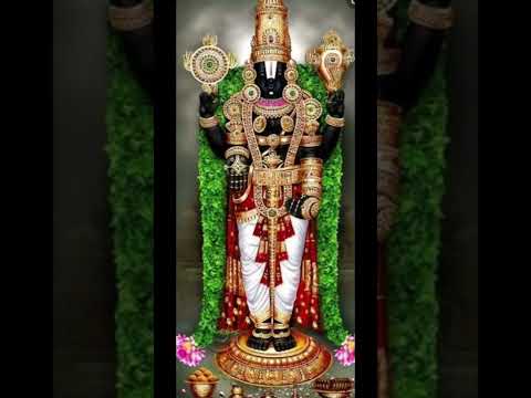 Tirumala Sri Venkateswara Swamy Govinda Tirumala #Tirumala #TTD #shorts #ytshorts #short