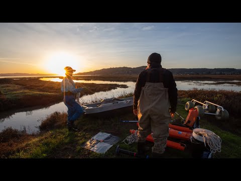 Sediment Transport in San Francisco Bay