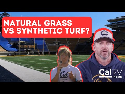 Dangerous Synthetic Turf? | UC Berkeley Students Speak on Natural vs Synthetic