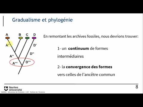 Rythmes de l'Evolution 2024