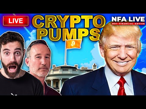 NFA: Trump Wins, Bitcoin Pumps, Polymarket Odds, Personnel Changes & More!