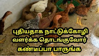 புதுசா நாட்டுகோழி வளர்க்க ஆசையா 15 Tips | How to start growing country chicken