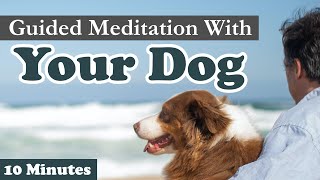 Guided Meditation With Your Dog ~ A 10-Minute Mindfulness Practice With Man's Best Friend