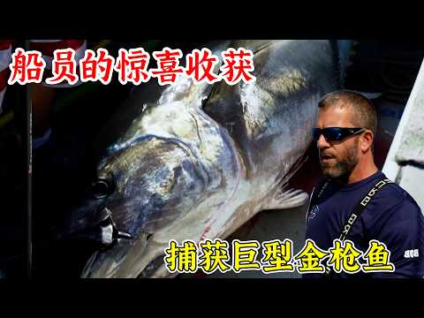 捕魚生死鬥：太猛了，捕獲巨型金槍魚，一天釣一條月賺上百萬！紀錄片