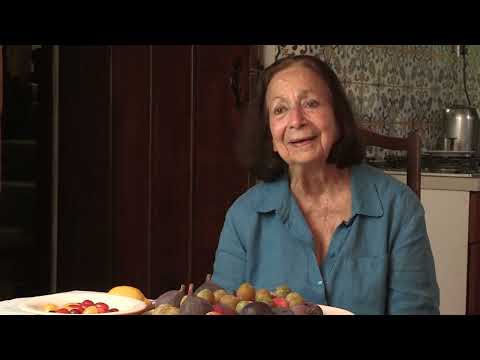 Claudia Roden - Jewish dafinas (60/155)