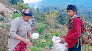 sarmila sending cabbage to series team || My Village || @bhumicooking