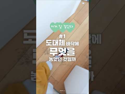 이 커다란 자국의 정체는