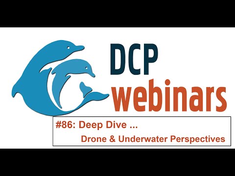 DCP Deep Dive: Video Data from Drone and Underwater Perspectives (w/ feline supervision!)