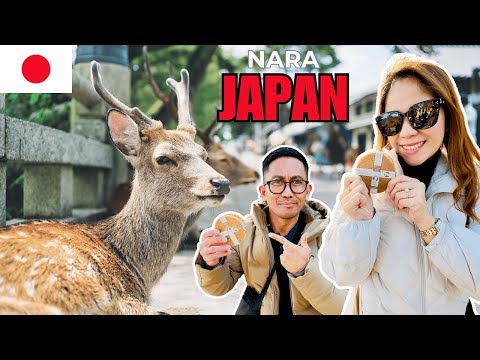 Nara Park: The Most Polite Deer in the World 🇯🇵