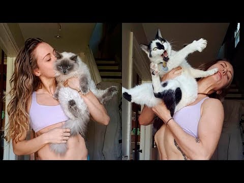 Funny Animals Get Their Revenge Part 7 - Animals vs Humans