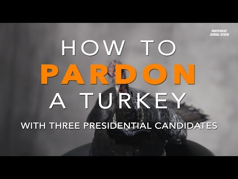 How To Pardon A Turkey With Three Presidential Candidates