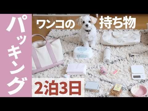 【ワンコのパッキング】2泊3日のお泊りグッズをご紹介♪愛犬との旅行がもっと楽しくなる！【＃074】Packing dog staying goods