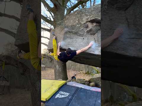 My Hardest Boulder Flash of 2024! #bouldering