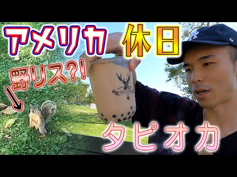 [キラキラしてないアメリカ生活] コロナ禍の休日どうすごしてんの？ アメリカの公園と人気タピオカ店