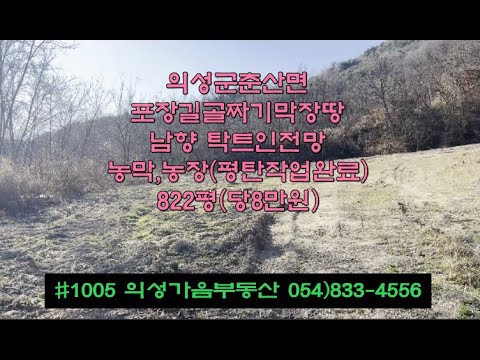 #1005 의성가음부동산 계곡막장땅 확트인 남향 채소밭 판넬농막 822평 6600만 (당8만원) 전기가능 건축가능 계곡물철철 멋진풍경 양봉 염소사육 자연인 쉼터 주말농장용 #의성땅