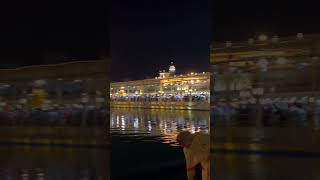 har jiyo kirpa karo #bhaisatvindersinghdelhiwale #amritsarlivekirtantoday #livekirtansridarbarsahib