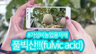 가성비 끝판왕 풀빅산 관주 엽면시비 토양개량 뿌리활착 인산 흡수 효과 fulvic acid 비료 영양제 자재