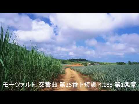 人気名曲クラシック50曲（長時間作業用BGM・Popularity, Famous, Classic Music 50）